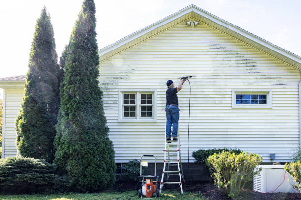 Solar Panel Cleaning in Aliceville, AL
